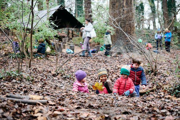 Forest Kindergarten