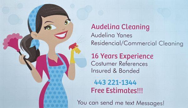 Audelina Cleaning Services