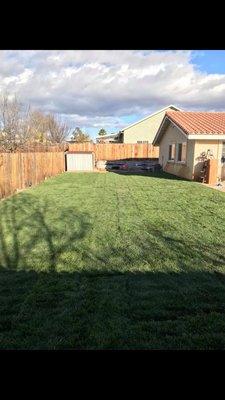 Newly laid turf.