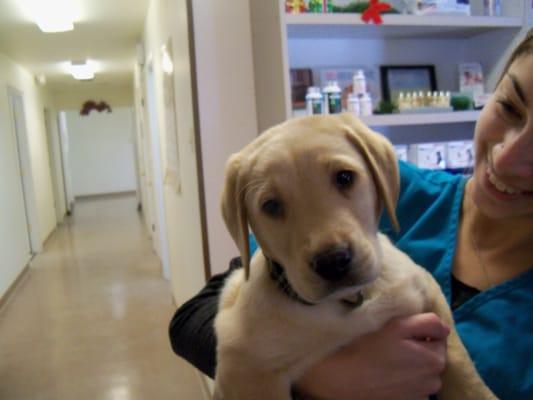 First visit to the doctor. Look at that face!