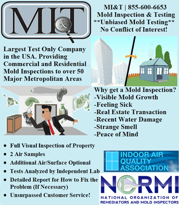 mold testing San Antonio