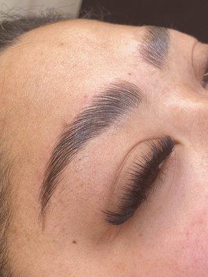 Brow lamination