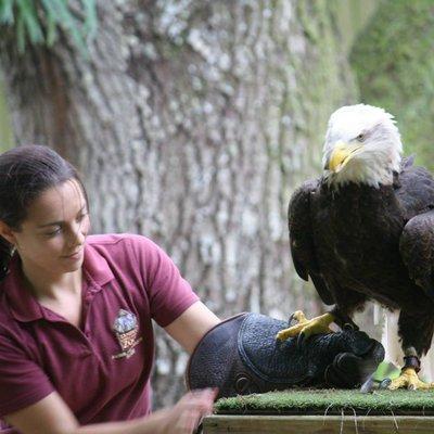 Animal Ambassadors Training