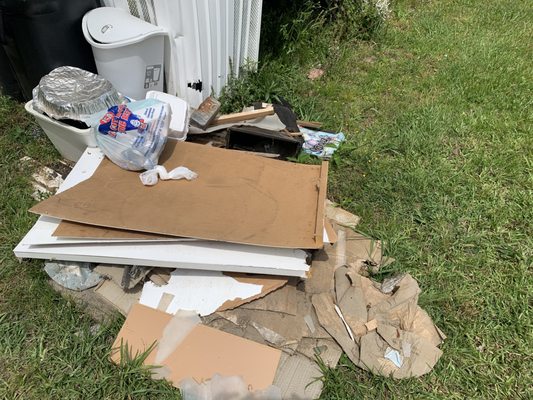 Trash and debris removal in Greeleyville South Carolina