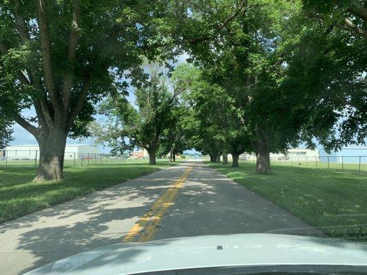 Entrance form the street/public side of the building. Nice tree lined driveway.