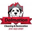 Dalmation Cleaning and Restoration