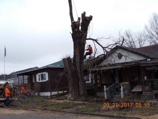 Lot Clearing - City of Nitro WV