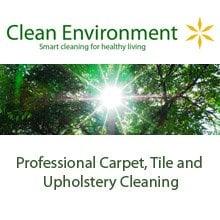 Carpet Steam Cleaning