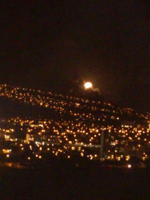 View over the Ala Wai.