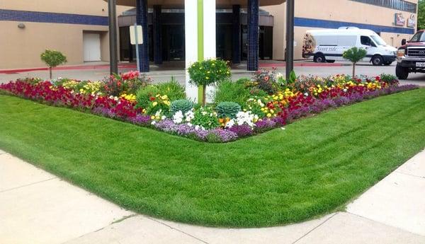 Commercial landscaping Mandeville