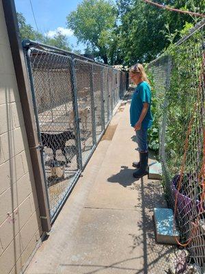 Sunny Acres Boarding Kennel