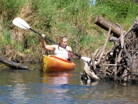 maneuvers around log jams