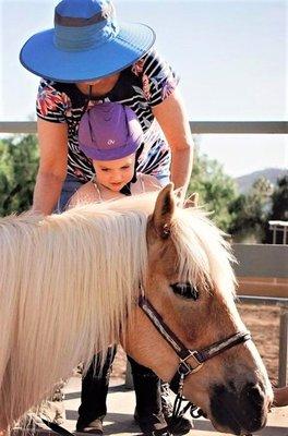 Colleen on her first day.  Shes learning how to get on Honey