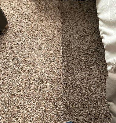 Residential Carpet Cleaning