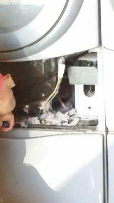 He refused to clean out the lint in my dryer, he said I can do it or pay him more.