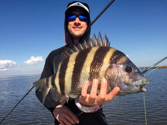 Sheepshead are one of the hardest fish to catch on fly in Louisiana