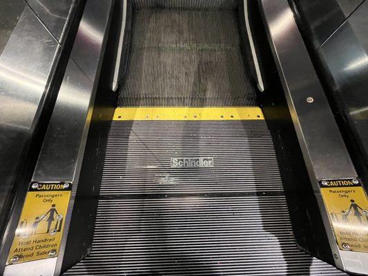 Elev8 Fun Seminole Towne Center Escalators