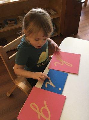 The Montessori method approaches  language by introducing phonics.