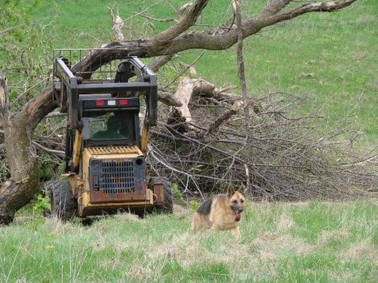 skidsteer work