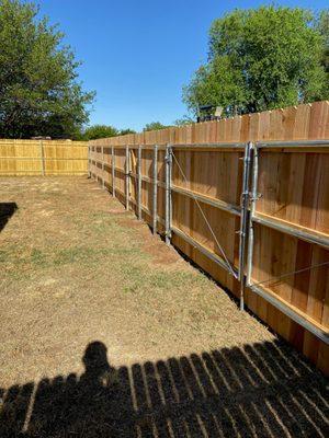 6' Tall Western Red Cedar Fence with 6" Wide Dog Ear Boards