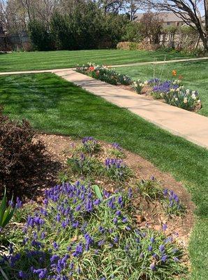 West Texas Landscaping