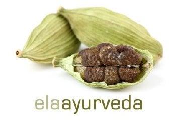 Ela Ayurveda