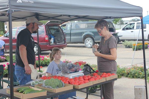 Cucumbers, Broccoli, Tomatoes, oh my! (Plus great plants in the Spring)