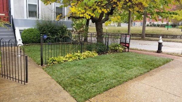 Lawn care in St Louis area by KPN Lawn Care & Landscaping