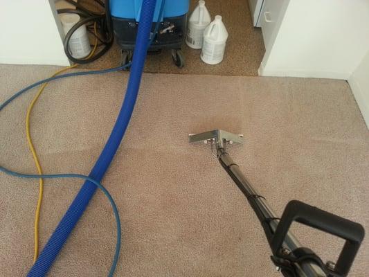 Carpet cleaning in a Chicago high rise