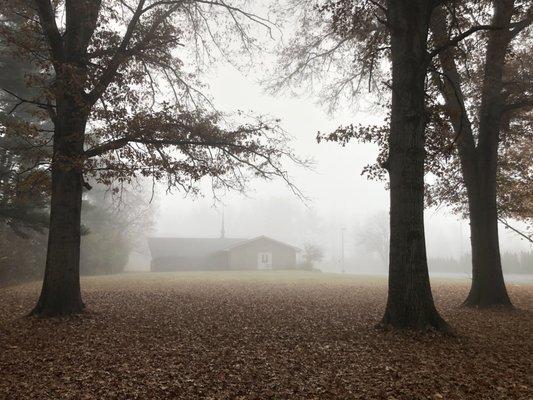 Beautiful fog on the property.