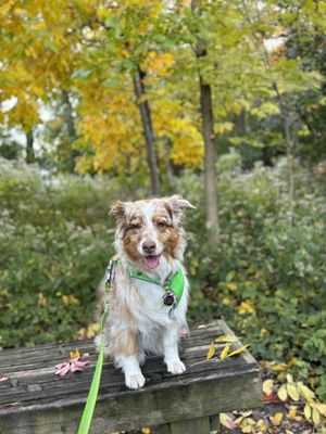 Betty Mae at the Graue Mill