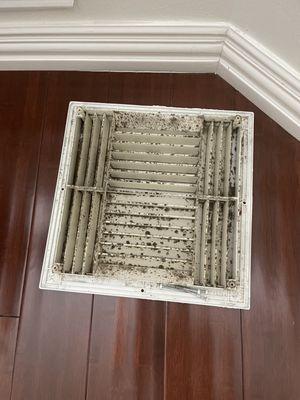 This is not mold - it's mildew!!