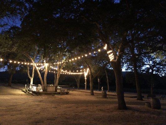 Vineyard and deck at night