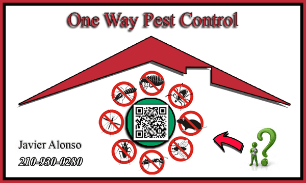 Custom pest control business card - unpaid.