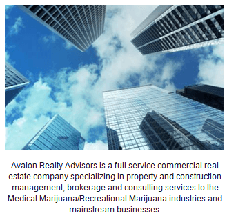 Avalon Realty Advisors Inc