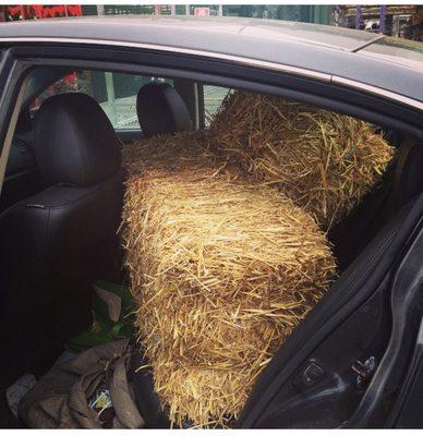 When you realize your forgot the hay the haunted house on Halloween morning....I got you!