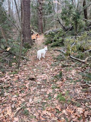 Hiking trails