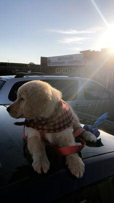 First Puppy check up a great success!