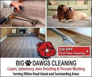 Big Dawgs Cleaning