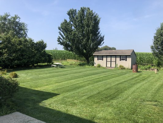 Lawn Care and Lawn Mowing