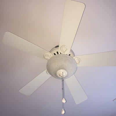 Ceiling Fans