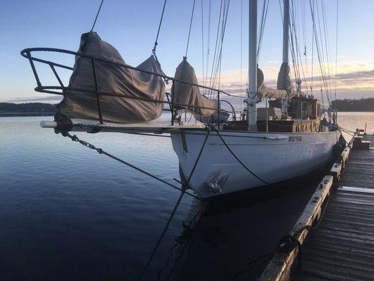 The lovely schooner SUVA