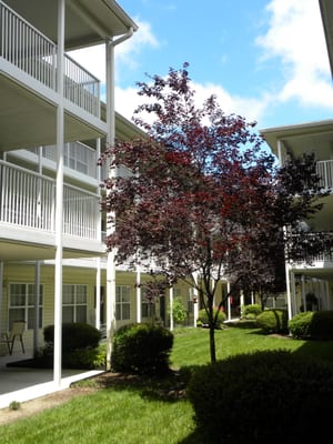 The Commons At Chesapeake Apartments