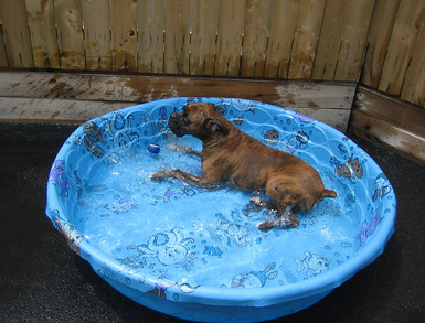 Chilling in the pool