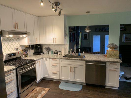 Renovation complete, the "door" to the right of the dishwasher is actually where our trash is now.