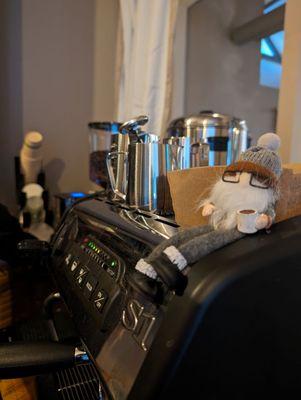 Mr. Beans is our mascot! He is just hanging around the espresso machine at this private event.