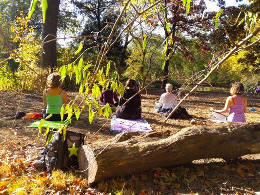 Meditation to the Rescue classes in Prospect Park, Brooklyn. (Also on Zoom)