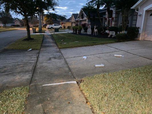 This lady is in her 90's and can't get out to Pick up the litter, so the neighborhood is forced to do it.