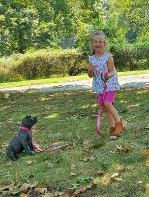 Cane Corso puppy on a leash looking up at a smiling little girl