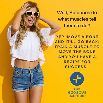 In this example the bone is the husband and the muscle is the wife... "Bones do what muscles tell them to do".